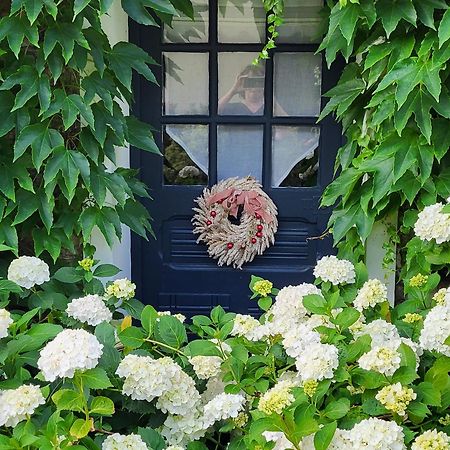 ユリィ Les Glycines Bed & Breakfast エクステリア 写真