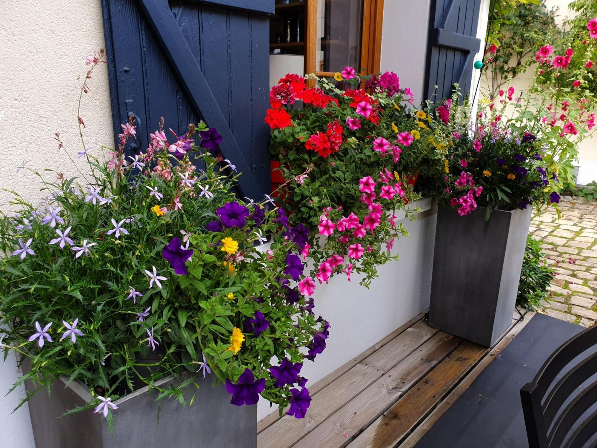 ユリィ Les Glycines Bed & Breakfast エクステリア 写真